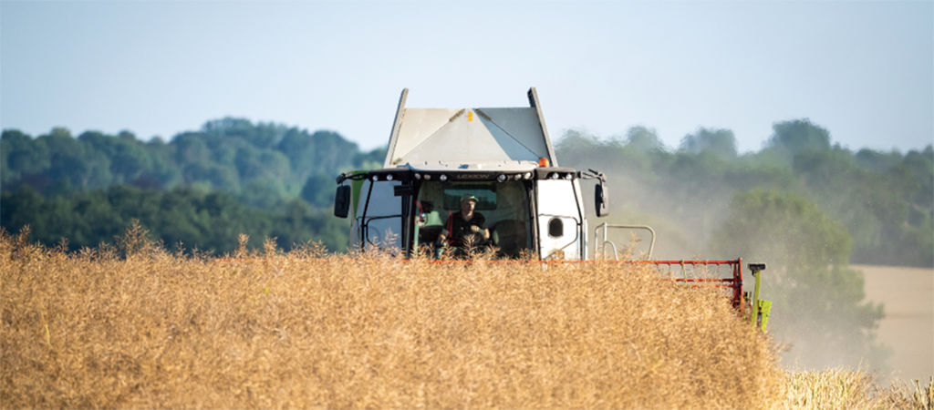 machine sowing osr field